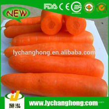 Высокое качество новой свежей моркови 2014 года Самая низкая цена